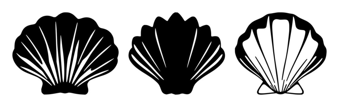 Clam shell silhouette set with single black outline form featuring marine life, beach, water, shell illustration with sea and ocean