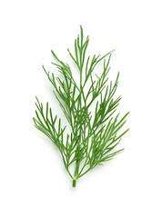 Fototapeta premium Fresh dill isolated on white background