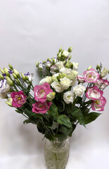 Obraz premium Pink and White Lisianthus Flowers