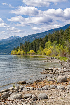Mountains rise above the beach of Okanagan Lake at the Evely Recreation Site, British Columbia, Canada