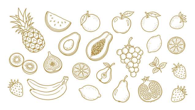 Fruit collection naive hand drawn vector illustration. Naive chalk fruit doodle outline vector illustration set with hand drawn crayon style
