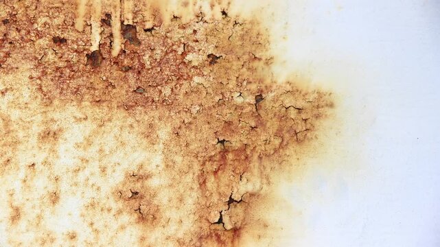 Close-up of a heavily rusted metal surface with peeling paint, showing industrial decay and oxidation textures in a seamless loop style.