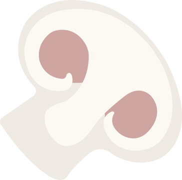 Flat illustration of a slice of a common white button mushroom.