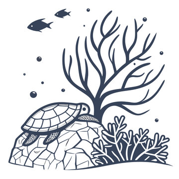 Turtle sitting on a rock near seaweed