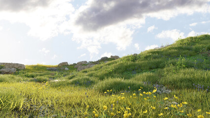 Fototapeta premium Sunny Meadow with Yellow Wildflowers, Grass and Rocks Under Blue Sky. 3D rendering.