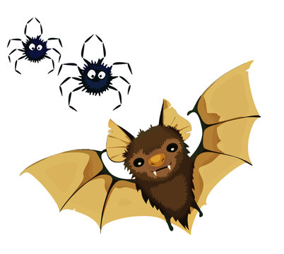 Bat and spyder 
