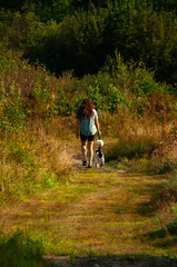 Fototapeta premium A woman walks a dog with a leash on a trail through a meadow and forest at sunset during the summer.