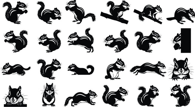 Collection of various squirrel silhouette poses and movements in black on white background silhouette