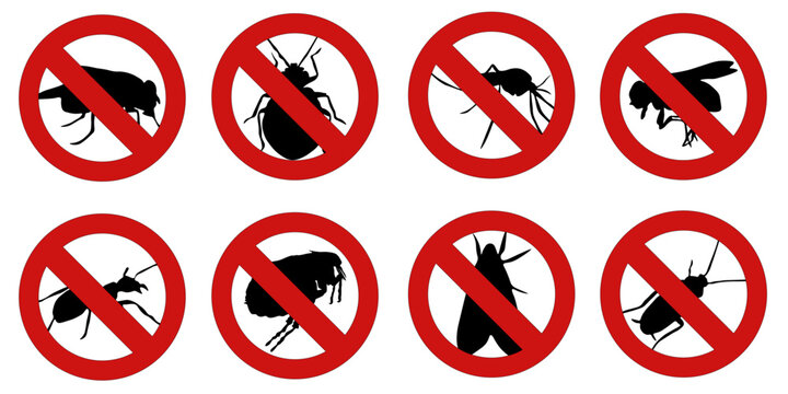 No Insects Signs Set. Set of prohibition signs with insects silhouettes inside red crossed circles. Includes mosquito, fly, cockroach, ant, beetle and other pests. Isolated on white background.