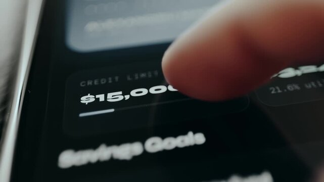 Credit Limit, financial account details displayed on screen