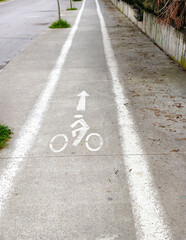 Fototapeta premium Bike lane marked on concrete pathway near road with trees beside it at an urban location in daylight