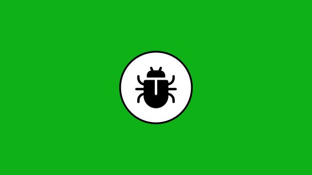 Animated bug icon appearing on white circle with green screen background motion graphics.