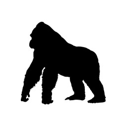 silhouette of a gorilla - vector illustration © KR Studio