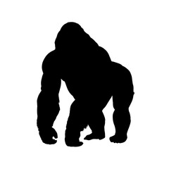 silhouette of a gorilla - vector illustration © KR Studio