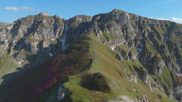 Spectacular flight over blooming Rhododendron kotschyi on Mount Tiganesti towards the stunning Tiganesti Towers and Scara Peak in the Bucegi Mountains, forward drone shot