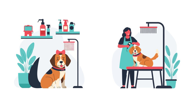 Dog grooming salon with pet care.