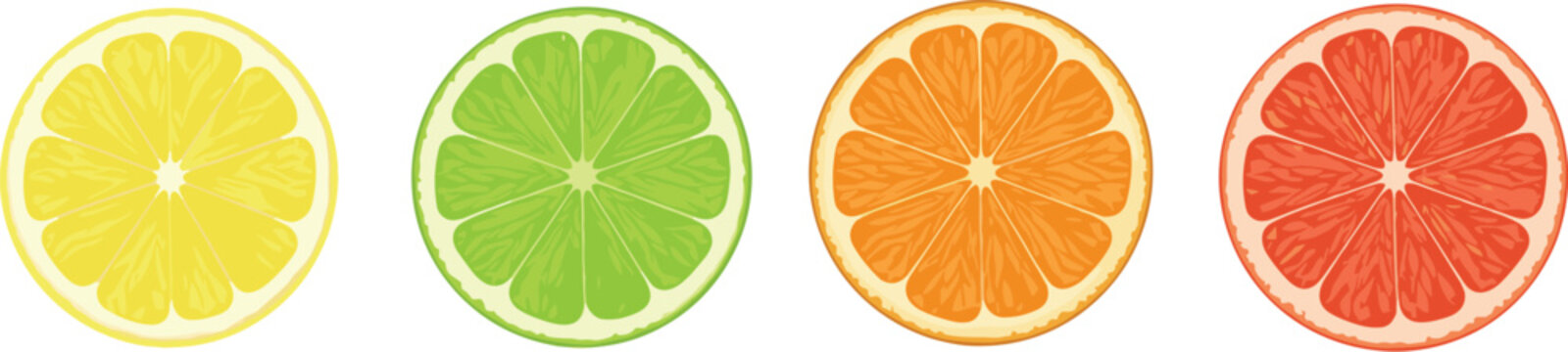 Citrus fruit slices set with lemon lime orange grapefruit colorful flat food illustration collection
