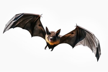 Naklejka premium Bat flying forward with wings spread, isolated on a clean white background