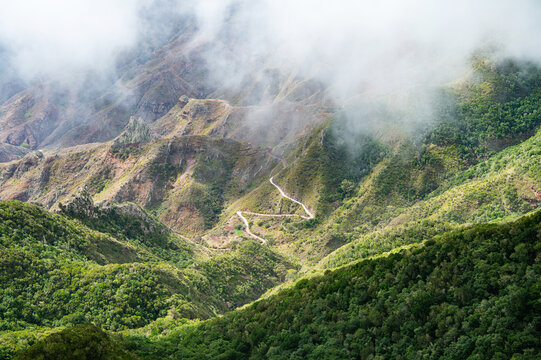 Anaga Tenerife Spain misty mountain landscape winding road in clouds uncertainty journey concept Canary Islands