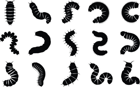 Caterpillar Silhouette Icon Collection Set