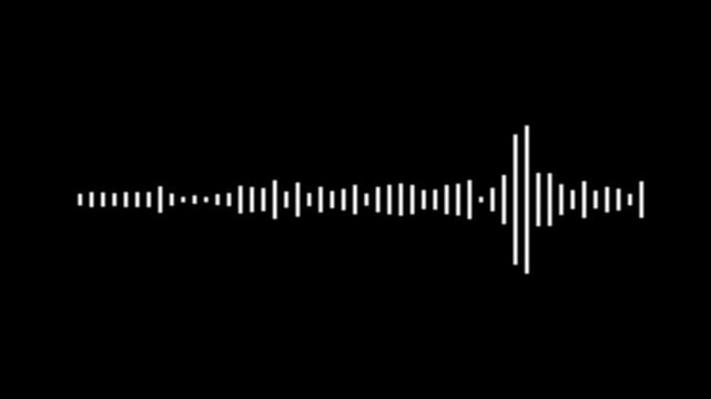 Sound waveform visualizer animation, white audio spectrum bars, digital music equalizer motion graphics, reactive frequency waves, black background, abstract audio waves, seamless 4k