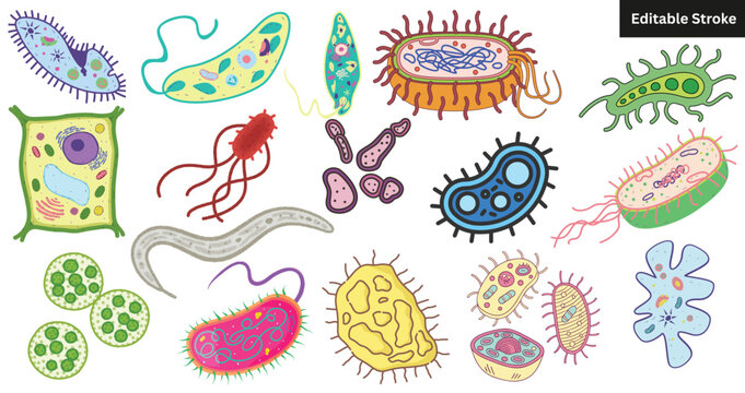 "Colorful Cartoon Microorganisms and Cells Vector Icon Set - Editable Stroke Biology and Microbiology Illustrations"