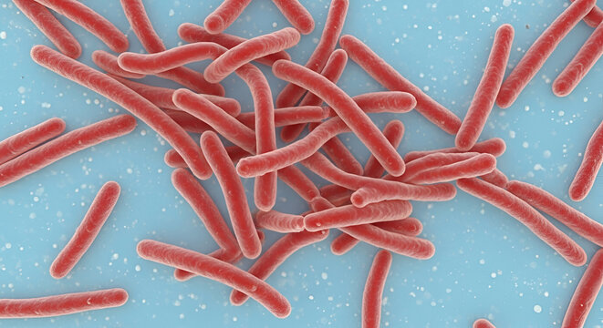 Microscopic rod-shaped bacteria illustration, red bacilli pathogens on blue background, medical 3D render of infectious microbes
