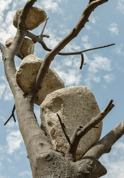 London, UK - Jul 21, 2025 - A leading figure of the Arte Povera movement, Giuseppe Penone explores the ancestral bond between humanity and nature in his bronze masterpiece, Idee di pietra (Ideas of St