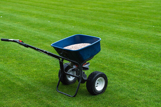 Groundsman spreads fertilizer for grass on a football pitch