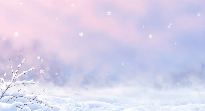 A snow covered field with a tree in the fore