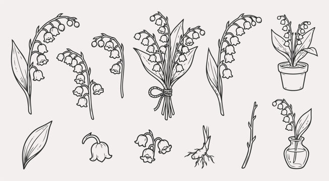 Lily of the valley flower set, hand drawn vector illustration of spring lily of the valley flowers and leaves isolated on white background