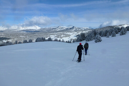 Randonn&eacute;e en raquettes en montagne. Hauts-plateaux du Vercors. Massif du Vercors Sud - Dr&ocirc;me.