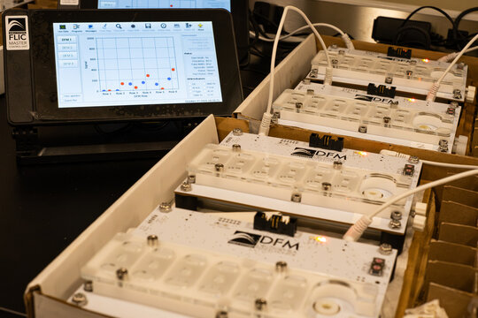 Drosophila Feeding Assay
