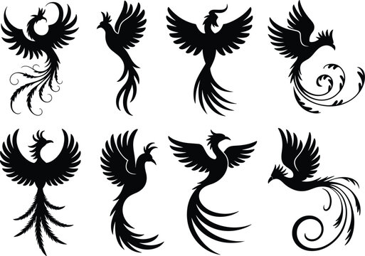 Black phoenix silhouette illustration collection, nine unique mythical bird designs with wings, tails, elegant artistic forms, rebirth, immortality