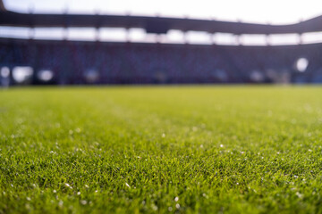 Grass at the football stadium during sunny summer day © Dziurek