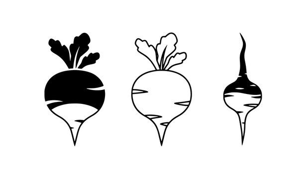 Radish plant with root flat vector agriculture set