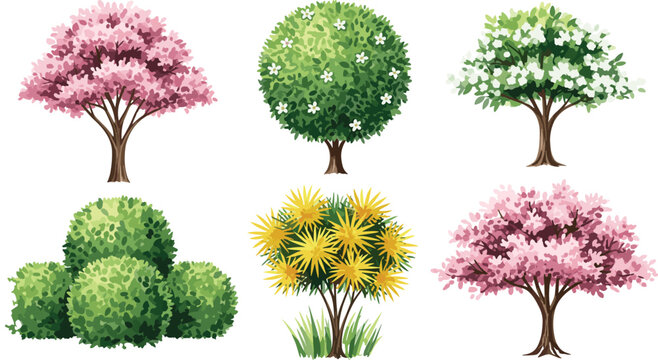 Detailed vector illustration set of various flowering trees and garden shrubs including pink cherry blossoms and green topiary bushes for landscape architecture and nature design.