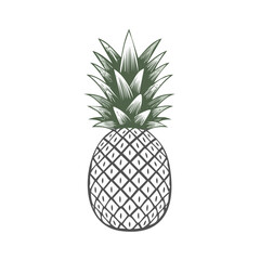 Obraz premium Vintage style pineapple fruit illustration with textured detail and green foliage