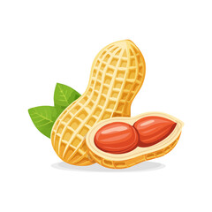 Obraz premium Whole and open peanut pod with green leaves illustration