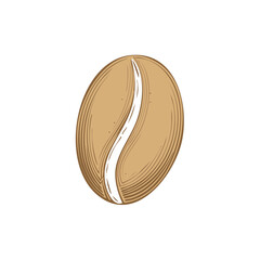 Fototapeta premium Vintage illustration of a single coffee bean with detailed line art and a creamy center