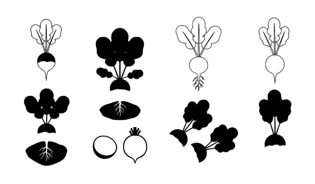 Radish icon flat vector vegetable symbol set