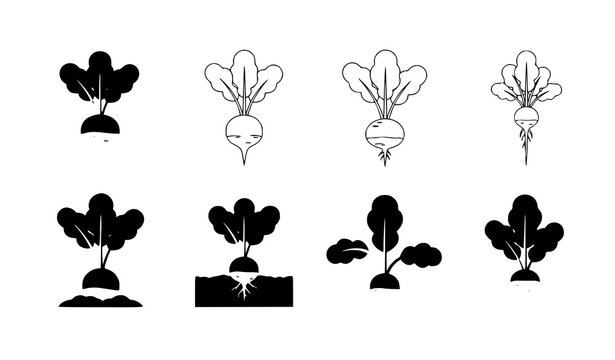 Radish flat vector illustration vegetable root set
Keywords (30)