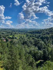 Fototapeta premium Panoramic landscape with forest and blue sky