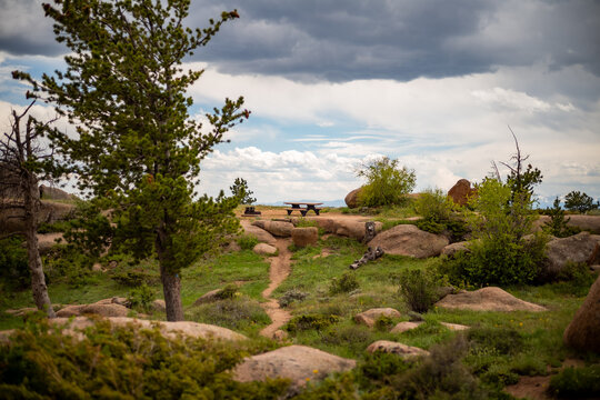 An outdoor landscape with trees and rocks