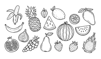Tropical fruit doodle line art set banana pineapple watermelon and more vector isolated on white background © MdNayeem