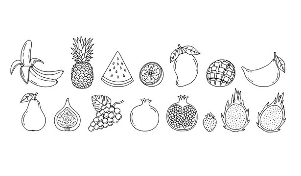 Minimal tropical fruit line art doodle set banana pineapple mango and more vector isolated on white background