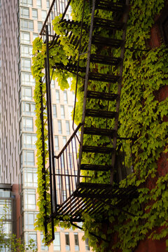 Various details of buildings in New York City