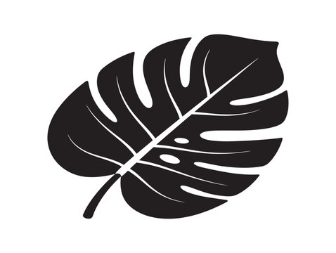 Elegant monstera leaf silhouette with tropical botanical design 