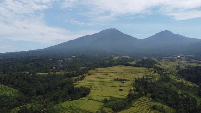 Cinematic aerial drone hovering above scenic rice terrace landscape near Jatiluwih, Bali, Indonesia.