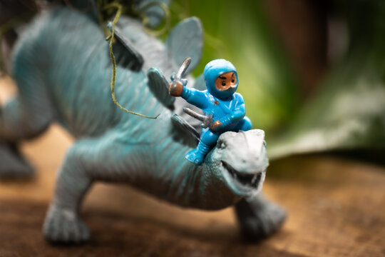 Tiny ninja figurine with a stegosaurus toy.